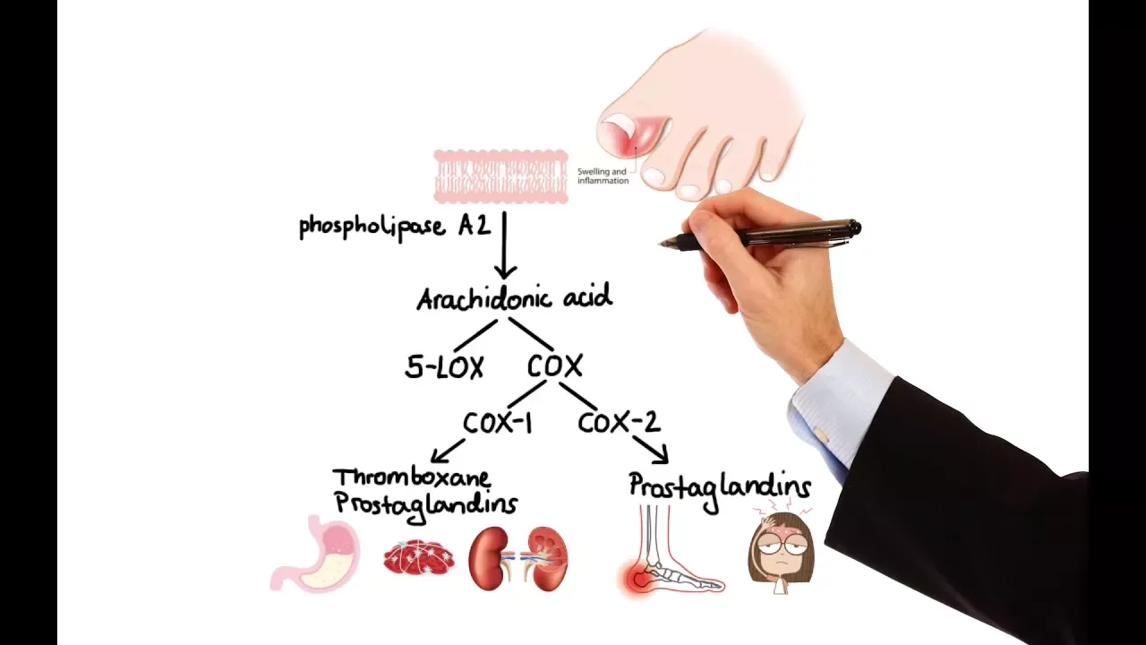 ICD-10-CM MEDICAL CODING GUIDELINES EXPLAINED - CHAPTER 1 GUIDELINES - INFECTIOUS DISEASES. 