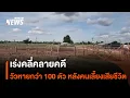 Download Lagu เร่งคลี่คลายคดีวัวหายกว่า 100 ตัวหลังผู้รับจ้างเลี้ยงเสียชีวิต | Thai PBS News