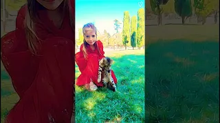 كايز وين تفعالكم وصلونا 1k Cover Remix Song Mashup Music Cat لقط Trend 