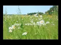 Lagu ✮⋆˙ wave to earth - daisy | Lirik Terjemahan 𖹭.ᐟ