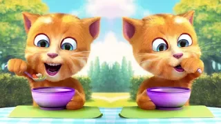 The cat Ginger Talking Ginger have fun and eat a lot with the kitten Ginger