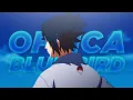 Lagu Offica - Blue Bird [Lyric Video]