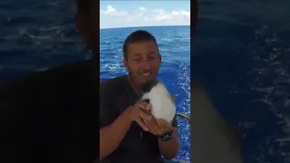 Swimming With Whales – Atlantic Crossing to Europe #shorts