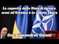 Lagu La capacità della Nato di fornire armi all’Ucraina è in caduta libera | Gianandrea Gaiani