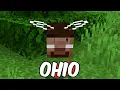 Download Lagu Minecraft Tapi di OHIO
