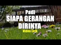 Download Lagu SIAPA GERANGAN DIRINYA - PADI VIDIO LIRIK