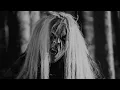 Download Lagu Gràb - Waidler (Official Music Video)