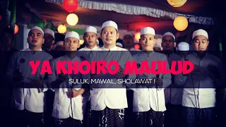 Download Suluk Ya Khoiro Maulud Full Lirik \u0026 Arti MP3