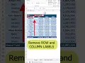 Remove LABELS in pivot table
