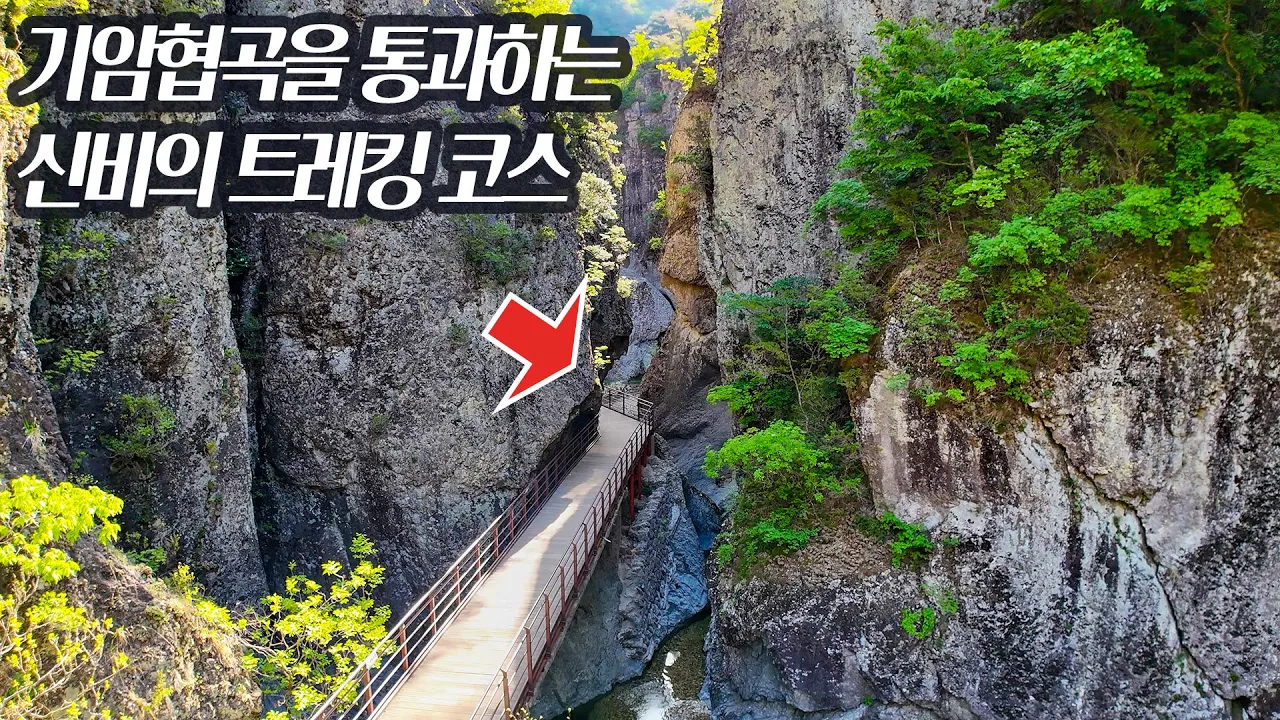 관련 영상 썸네일