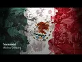 Transmetal - México Bárbaro