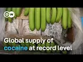 Lagu Europe sees a rise of narcotics shipments from Latin America | DW News