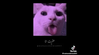 محمود العسيلي أموت أنا 