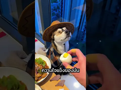 เมื่อเจ้าของสุนัขคาวบอย อยากรู้ว่ามันจะอดอาหารได้ขนาดไหน