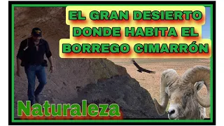 NATURALEZA DEL OESTE VIDEO 3 TIENES QUE SABER ESTO (Lo Que Tu No Sabias) DEL MUNDO ANIMAL