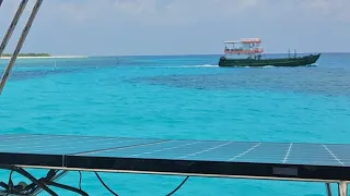 MALDIVES IS LIKE A GIANT AQUARIUM DAY 1 LIVE STREAM