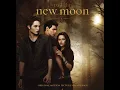 New Moon (The Meadow) - Alexandre Desplat