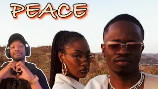 mannywellz peace ft tems official video reaction by njcheese 
