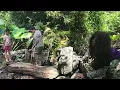 Download Lagu The strange woman hid in the bushes waiting for Hoang and Duyen to leave the farm and then stole foo