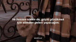 taylor swift foolish one taylor s version from the vault t rk e eviri