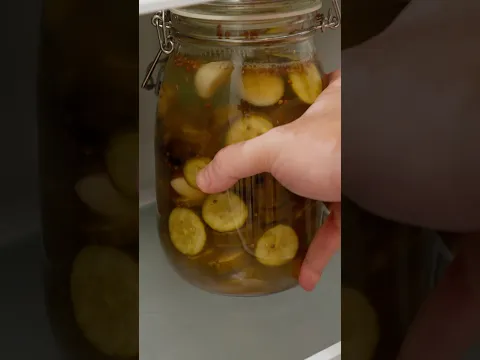 أول يوم في رحلة المخلل
