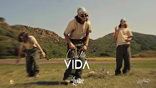 L Vibe Vida Prod Dylexia 