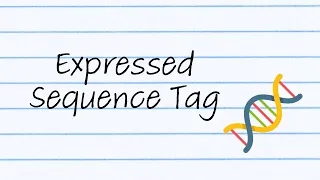 Expressed Sequence Tags Sci Bagels Edu-Vid
