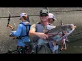 Download Lagu Is There ANY Way to Stop This Madness!?! Asian Carp Bowfishing Frenzy at Barkley Dam
