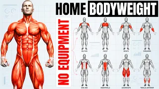 How To Train Full Body (Bodyweight Only)?!💪| The Smartest Bodyweight Workout Plan (Fully Explained)