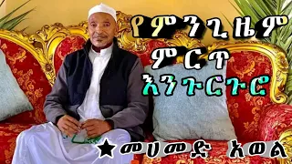መሀመድ አወል እንጉርጉሮ ምርጥ እንጉርጉሮ Mehamed Awel Menzuma 