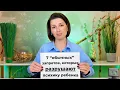 Lagu 7 «Обычных» Запретов, которые Разрушают Психику Ребёнка.
