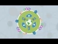 array networks eng