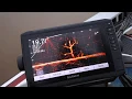 Garmin LiveScope Explained Crappie Fishing Timber 19
