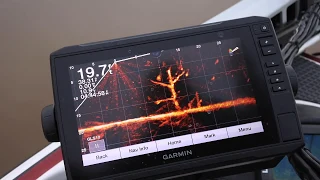 Garmin LiveScope Explained Crappie Fishing Timber 19