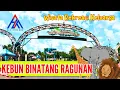 Download Lagu Kebun Binatang Ragunan‼️ Taman Margasatwa Pertama Di Indonesia Sejak 1864 | Explore Jakarta
