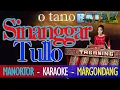 SINANGGAR TULO  GONDANG MANORTOR KARAOKE DENMASTUBI MUSIC STUDIO