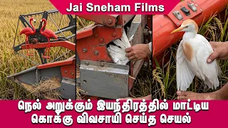 😂😎நெல் அறுக்கும் இயந்திரத்தில் மாட்டிய கொக்கு விவசாயி செய்த செயல் 🤩🤣