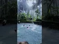 Download Lagu Swimming in the rain🌧 #villagelife #friends #youtubeshorts