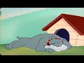 Tom And Jerry Snore Compilation 2024
