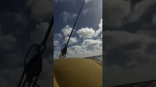 Riding the Swell 🌊