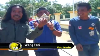 Download WONG TANI - VOC.KADIS–PUTRA SURTI MUDA–16 NOVEMBER 2018– BONGAS PENTIL ( ARYA PRODUCTION ) MP3