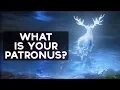 What Is Your Patronus Pottermore Fun Tests