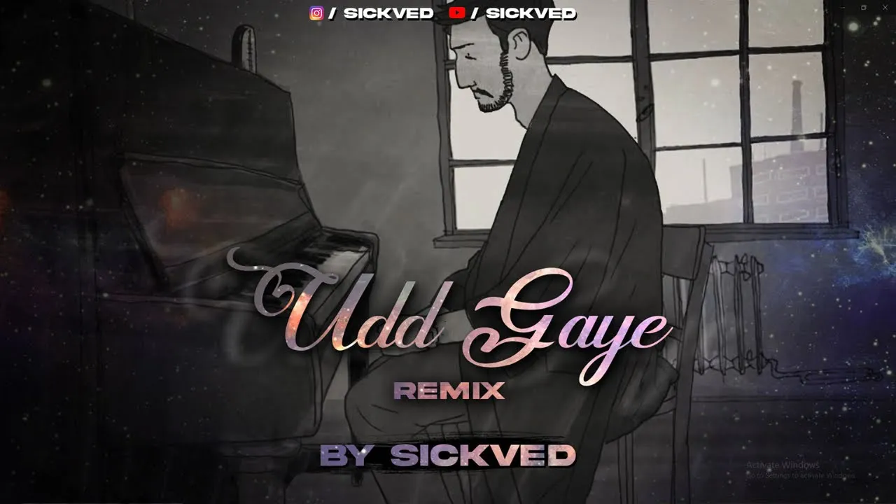 Udd Gaye Remix | LoFi | SICKVED | RITVIZ