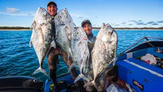 Sailing & Spearfishing Fraser Island (Sailing Popao) Ep.81