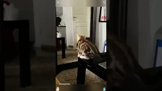 Top 10 most funny in