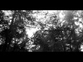 Feist - How Come You Never Go There