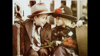 سلفيني عنيكي لحظه تشوفي نفسك من مكانى Sugar Farida 