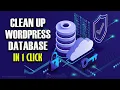 How to Clean Up Your WordPress Database In 1 Click