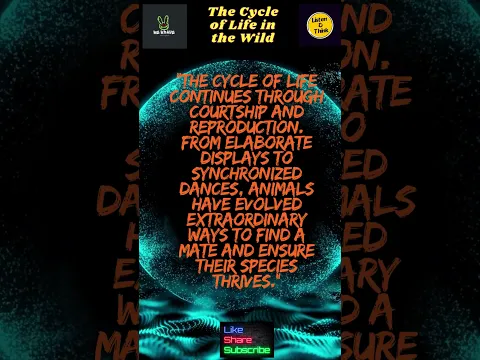 The Cycle of Life in the Wild