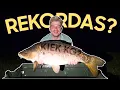 Download Lagu CARP SPOT - Ar šiame naujame spot'e pagavau savo rekordą?
